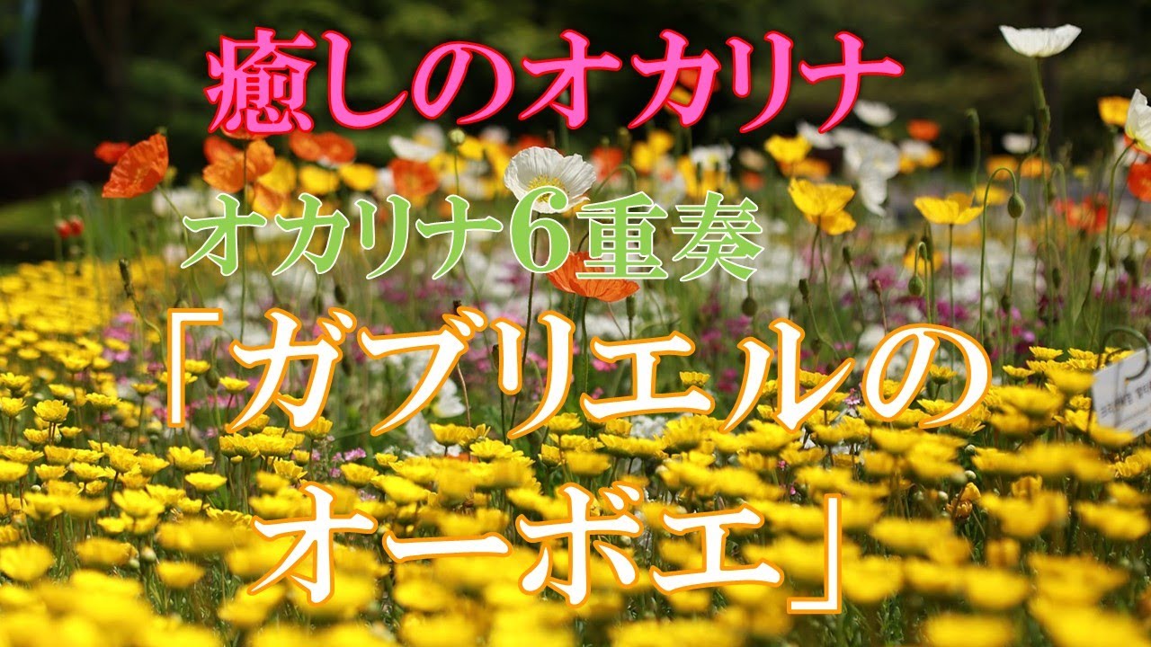 「カブリエルのオーボエ Gabriel's Oboe」映画『ミッション』より